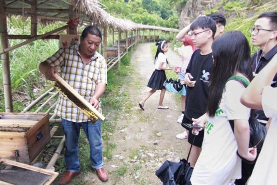 ”善行景宁乡，共圆畲汉梦“h图书馆
景宁梦之队-实地调研当地养蜂业